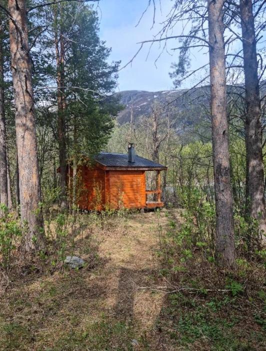 Torfoss Gard, Utleie, Campingvogn Og Bobil Plasser * Potka