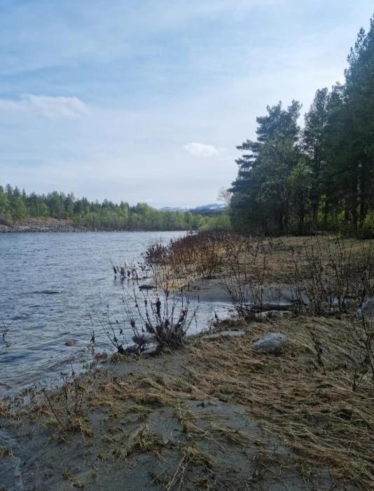 Torfoss Gard, Utleie, Campingvogn Og Bobil Plasser Campsite *