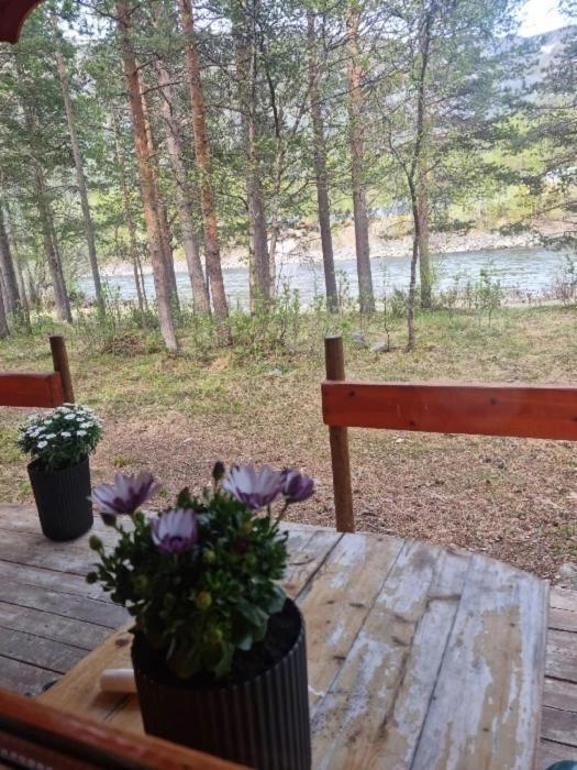 Torfoss Gard, Utleie, Campingvogn Og Bobil Plasser Campsite *