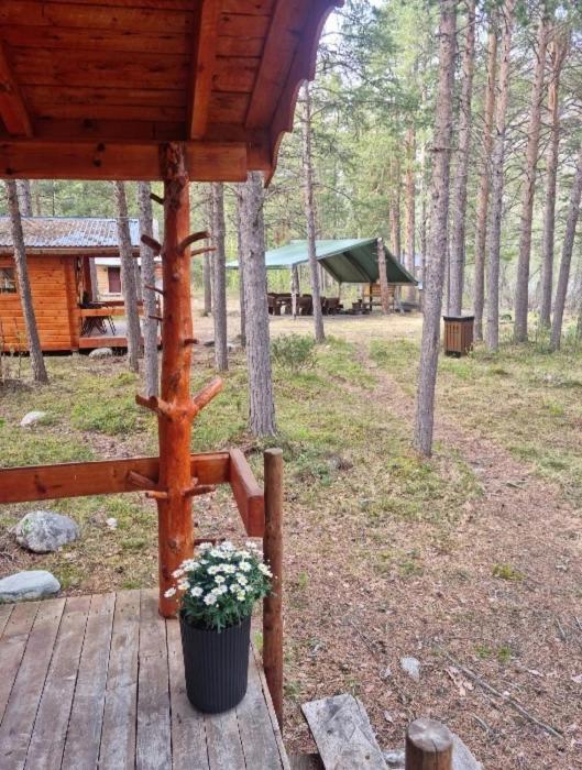 Torfoss Gard, Utleie, Campingvogn Og Bobil Plasser Potka