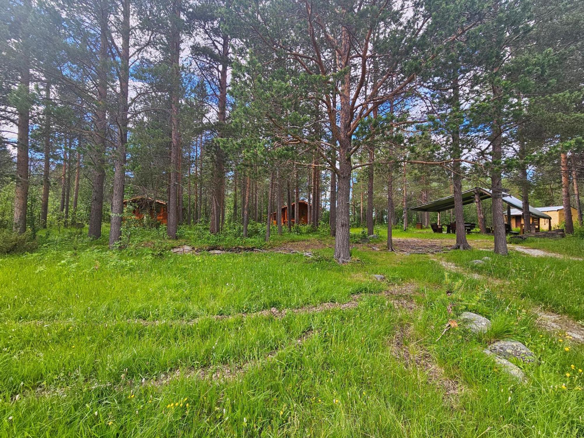 Torfoss Gard, Utleie, Campingvogn Og Bobil Plasser Campingplads *